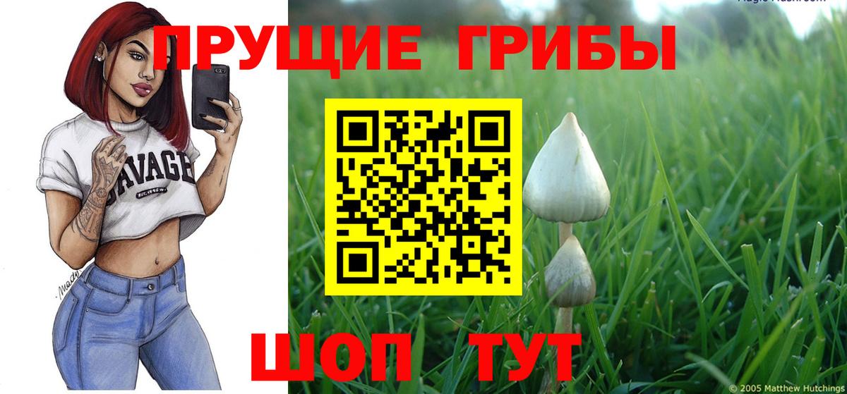 Тимашёвск  Галлюциногенные грибы Magic Shrooms  Вход с VPN 